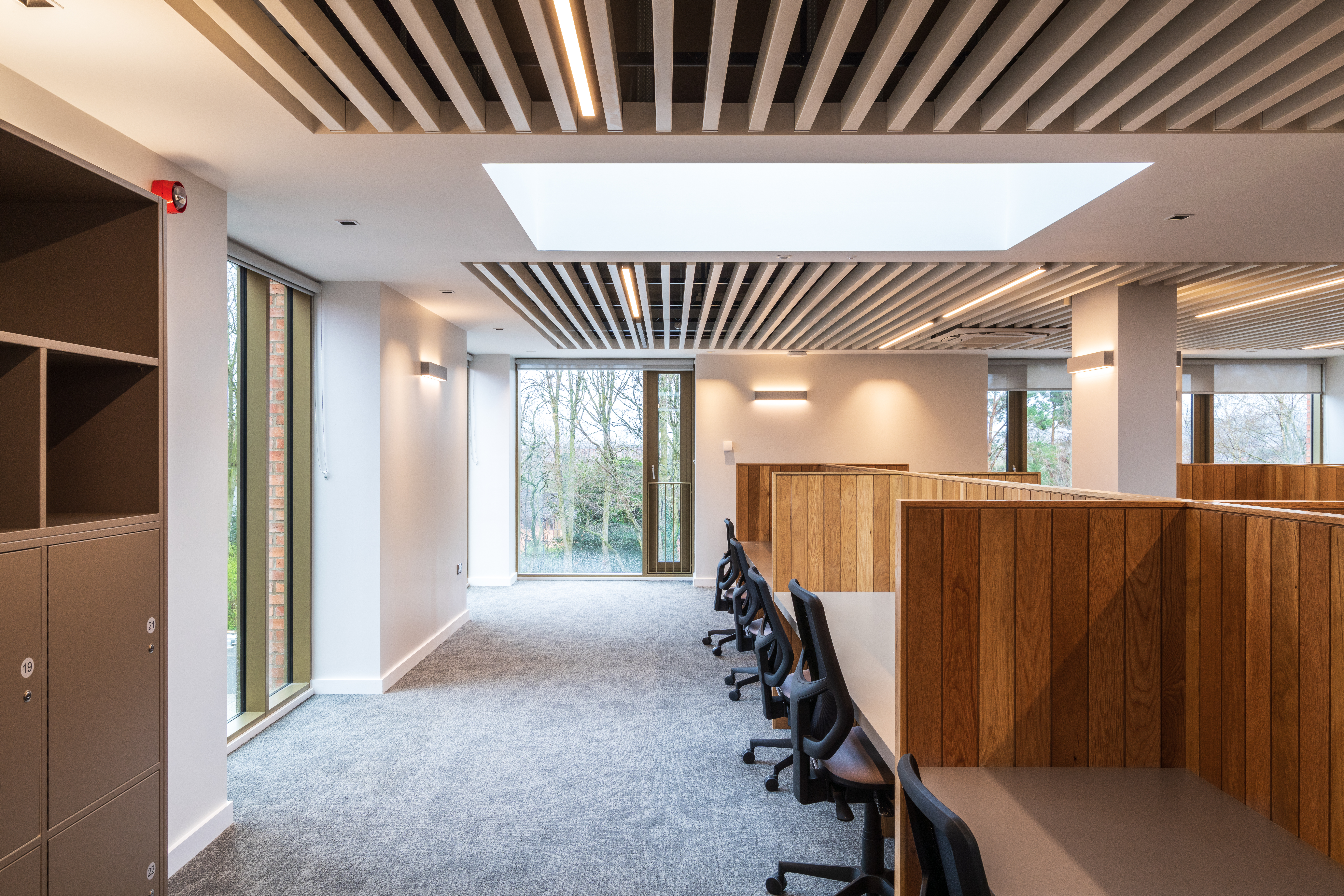Open Plan Study Space With Acoustic Ceiling
